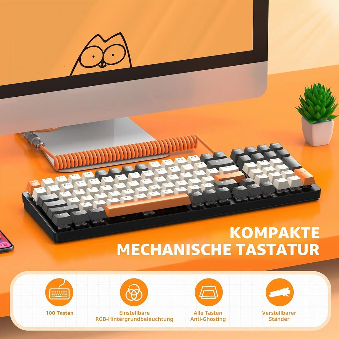 ZIYOU LANG K3 PRO Mechanische Gaming-Tastatur, RGB, schwarz beleuchtete, kabelgebundene Tastatur, ro