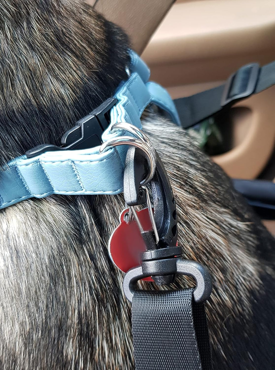 PURLOV Faltbarer Autositz für Hunde & Katzen – 40x40x32cm – Wasserdicht, mit Sicherheitsgurt & Netzf