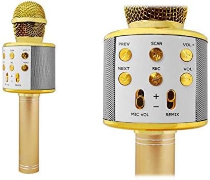 LTC MIC100 Drahtloses Bleutooth Mikrofon mit Lautsprecher Karoke Handmikrofon 5W UKW-Radio microSD (