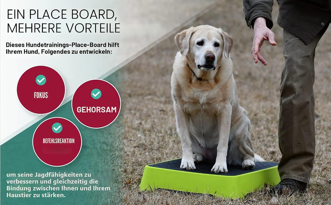 HUNTMARK Hundetraining-Platzbrett – langlebige Jagdhund-Trainingsplattform – rutschfeste Oberfläche