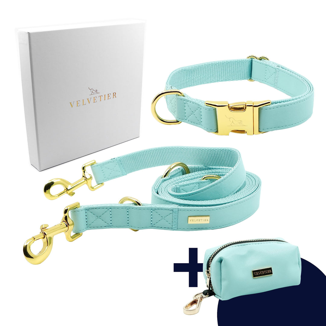 VELVETIER® "Paris" | Halsband Hund im Set mit Leine &amp; Beutelspender | Veganes Leder | Hunde Halsbänd