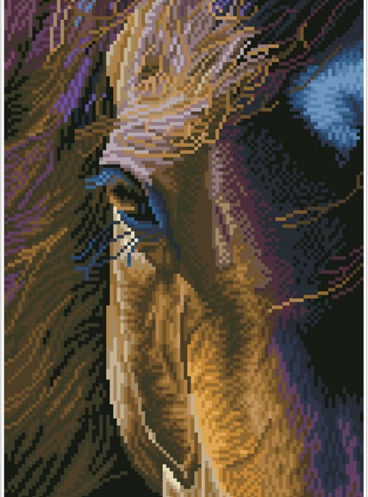 DIAMOND DOTZ DD7.060 Malset, mittelgross, DD7, Leinen Polyester, Star, 29.5 x 41.5cm 29.5 x 41.5cm S