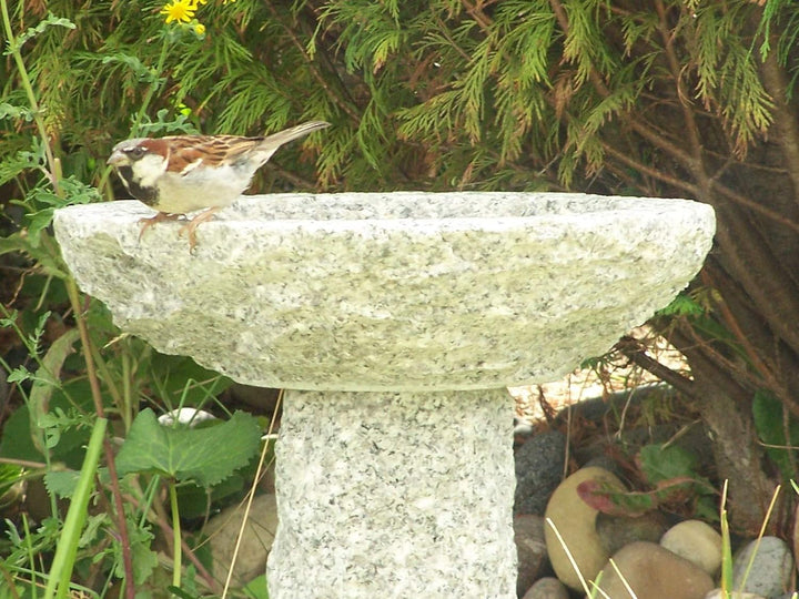 Gebrüder Lomprich Vogelbad aus Granit 10 cm hoch - Vogeltränke mit 2 Liter Fassungsvermögen auch für
