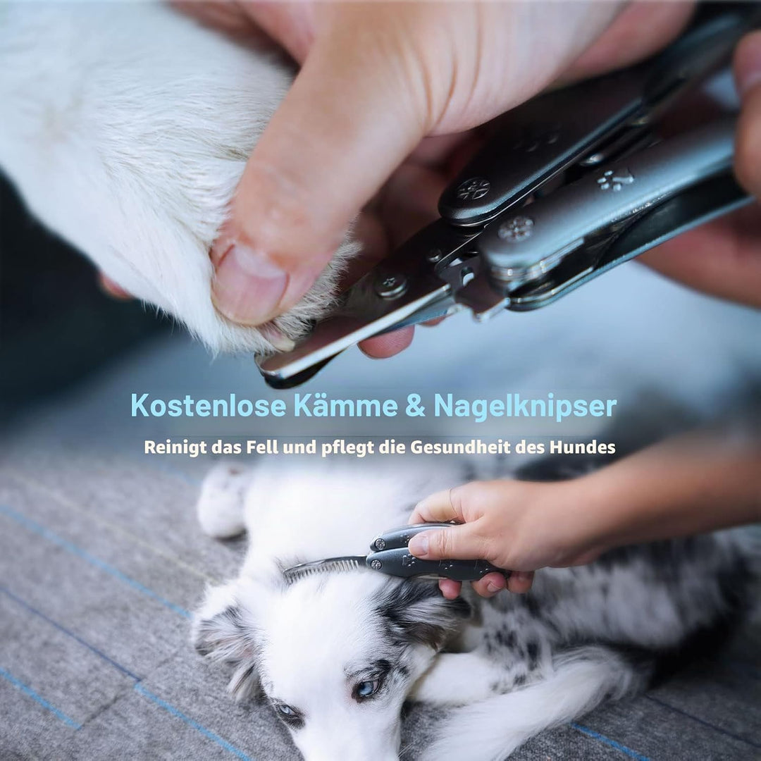 Bester Hunde-Nagelschneider für angstempfindliche Hunde, leise, schärfste und glatteste Hunde-Nagelk