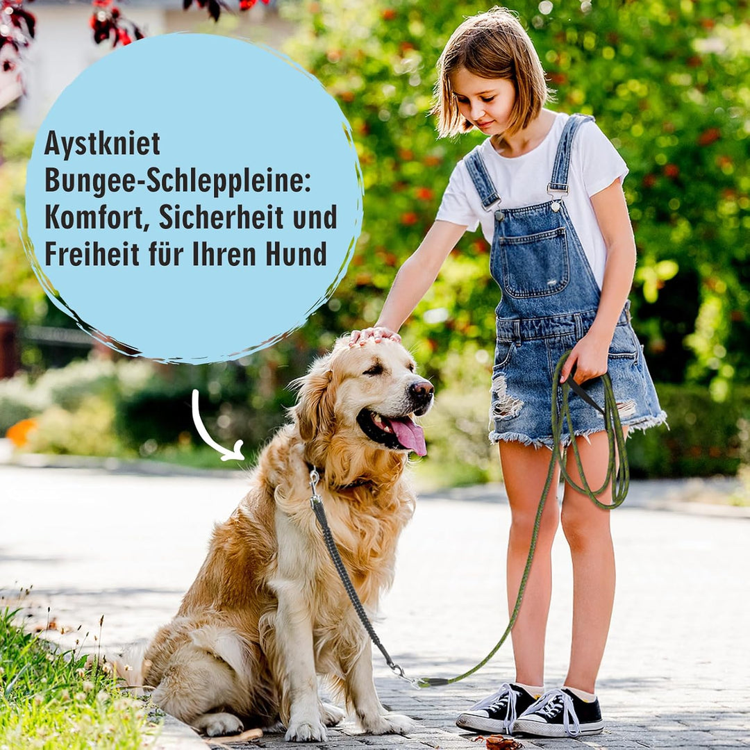 Aystkniet Bungee Schleppleine für Hunde 3M 5M 9M 10M 15M 20M 30M, Schockabsorbierende Hundeleine mit