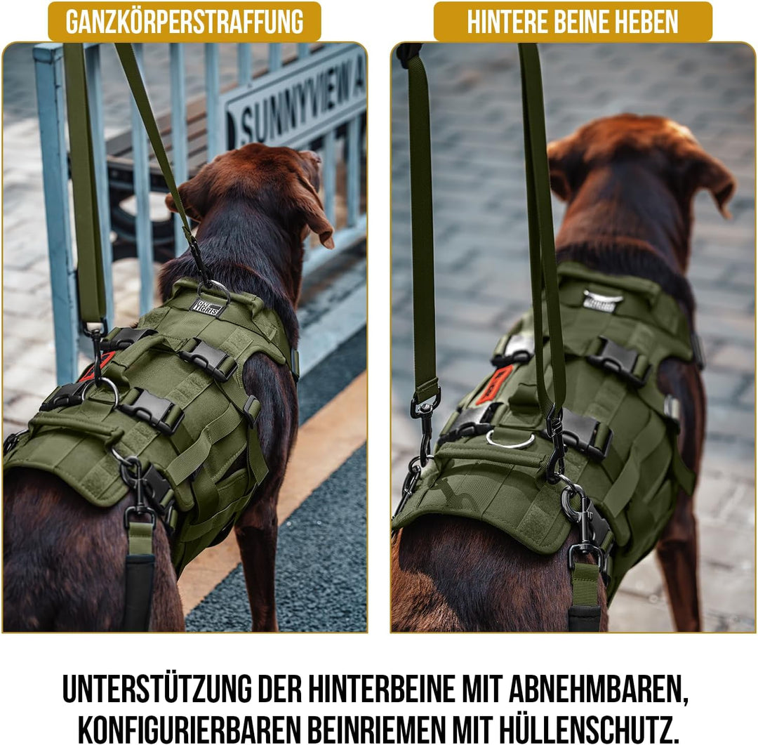 OneTigris Hundegeschirr, Invictus Hunde Tragehilfe für Mittelgrosse Grosse, Einstellbar Gehhilfe für