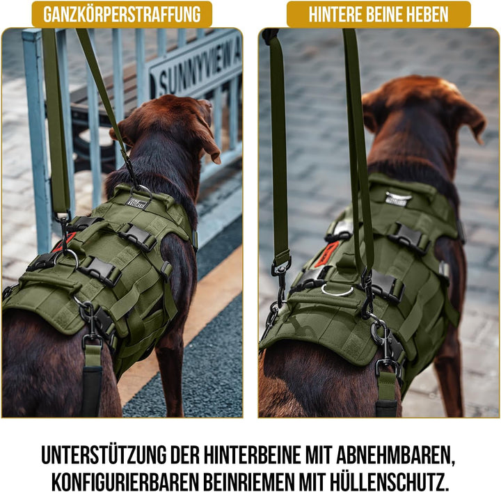OneTigris Hundegeschirr, Invictus Hunde Tragehilfe für Mittelgrosse Grosse, Einstellbar Gehhilfe für