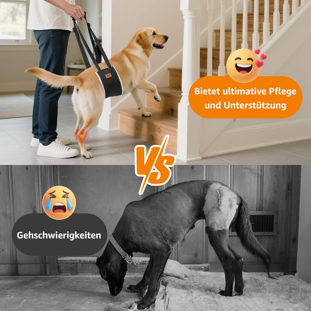 Hundegeschirr Hunde Tragehilfe Einstellbar Gehhilfe Hund Treppe Hund Hinten Lift Support Geschirr Kl