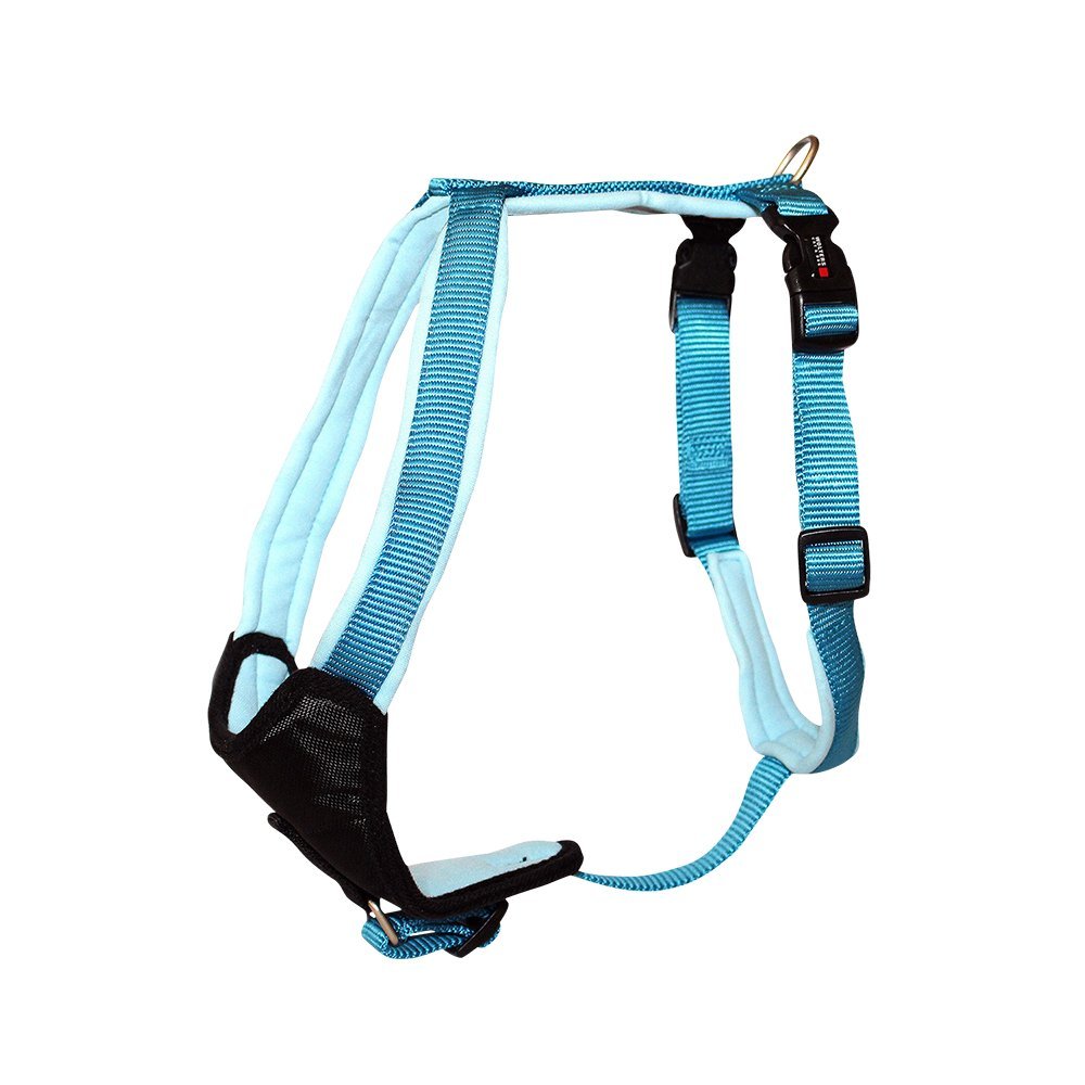 Wolters | Geschirr Professional Comfort in Aqua/Azur | Brustumfang 60 - 70 cm 60 - 70 cm aqua/azur,