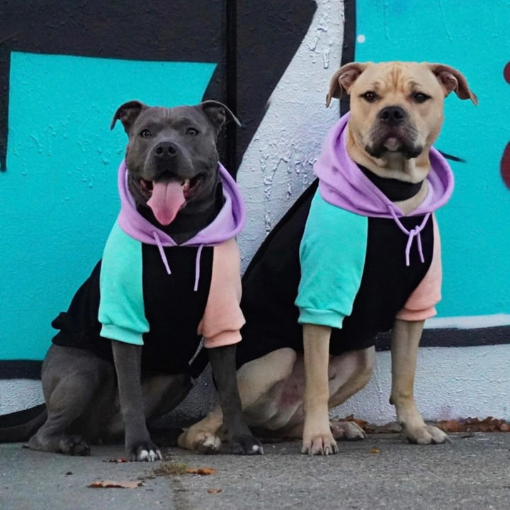 Spark Paws Hunde Hoodie Sweatshirt Pullover - Premium Qualität, weich, Komfortabel und passend für g