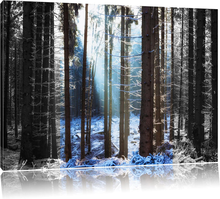 Sonnenschein im Winterwald schwarz/weiss Format: 100x70 auf Leinwand, XXL riesige Bilder fertig gera