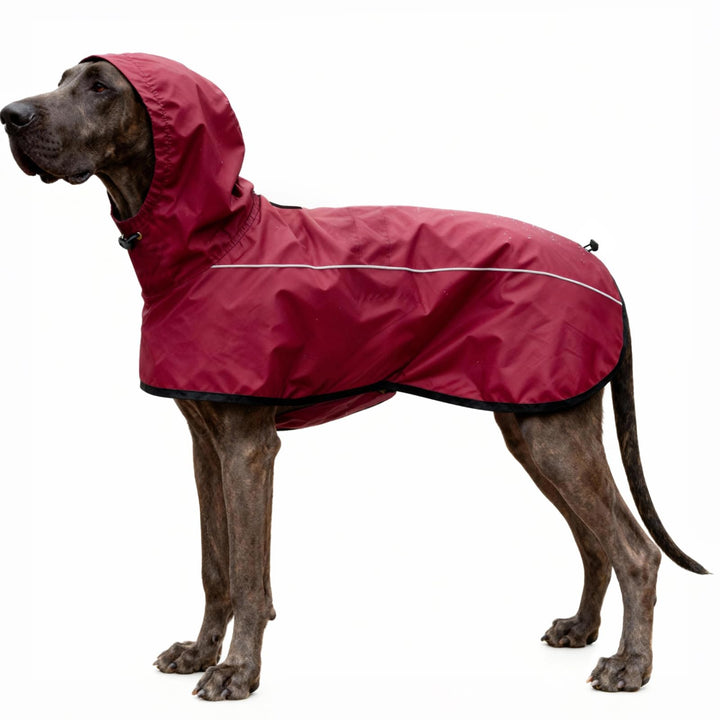 Mosucoirl Hund Regenmantel Jacke Reflektierende Verstellbare Kapuze Haustier Poncho Regenmantel mit