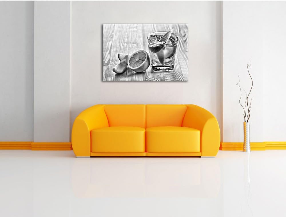 Pixxprint Monocrome, Gin Tonic Shot mit Zitronen, Format: 100x70 auf Leinwand, 100x70