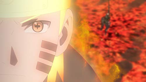 Naruto Shippuden - Die komplette Staffel 23 [3 DVDs], DVD