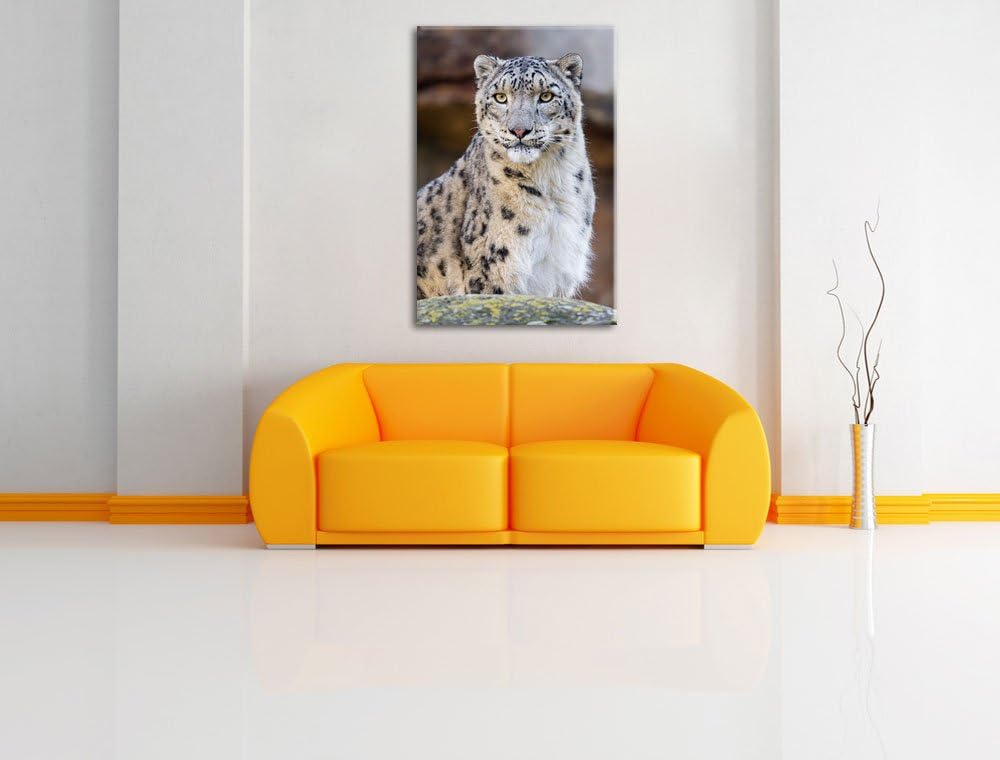 Pixxprint wachsame Schneeleopardin auf Leinwand, XXL riesige Bilder fertig gerahmt mit Keilrahmen, K