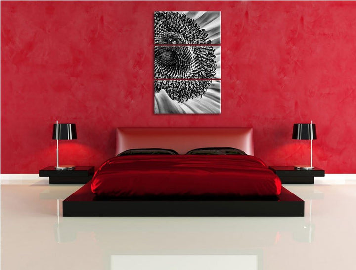 Pixxprint Monocrome, grosse Sonnenblume 3-Teiler Leinwandbild 120x80 Bild auf Leinwand