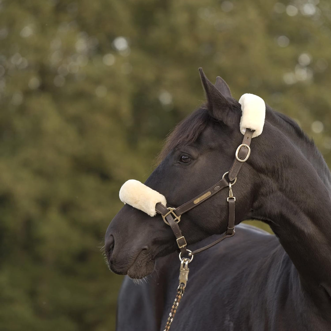 Werner Christ Lammfell Gurtschoner Horse – Sattelgurtschoner aus echtem Lammfell, idealer Schutz für