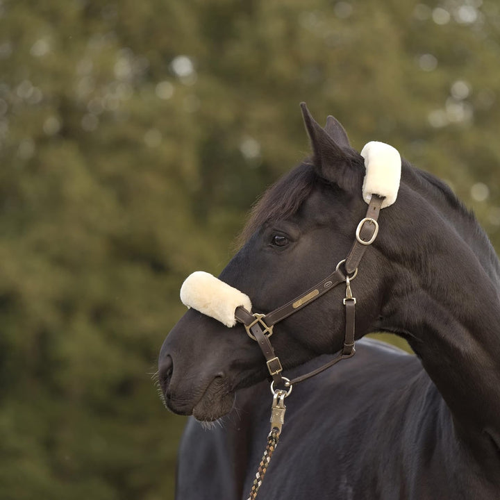 Werner Christ Lammfell Gurtschoner Horse – Sattelgurtschoner aus echtem Lammfell, idealer Schutz für