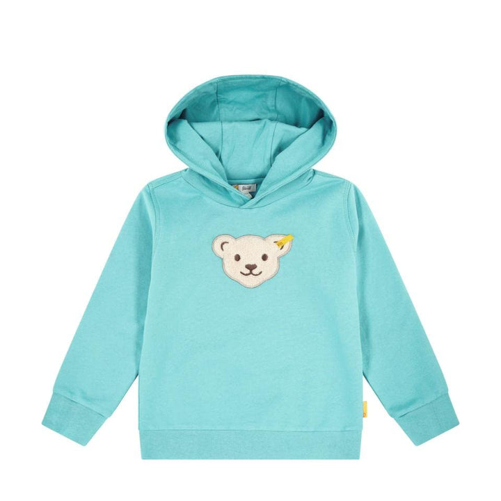 Steiff Jungen Kapuze Sweatshirt 116 Stillwater, 116 Stillwater