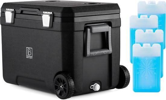 Brisby Kühlbox Camping - 45L, Kühlbox ohne Strom, inkl. 4 Dicke Kühlelemente, 3 Tage kühle Isolation
