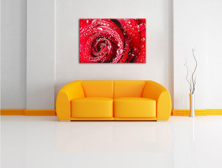 Pixxprint Rose mit Wassertropfen als Leinwandbild/Grösse: 100x70 cm/Wandbild/Kunstdruck/fertig bespa