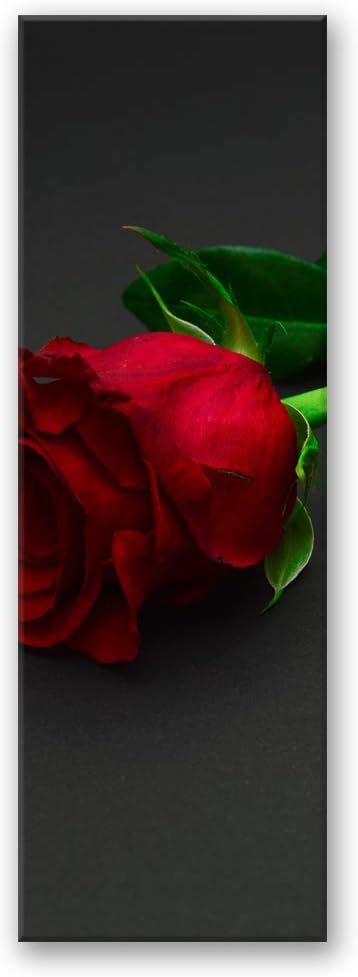 Feeby Bild auf Leinwand Rose Kunstdruck modern Blume Rot 30x90 cm Leinwandbild 30x90 cm Rot_b, Leinw