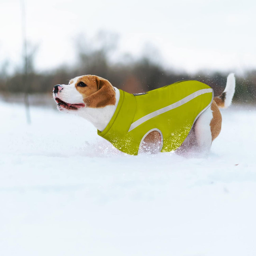 Idepet Wasserdichter Hundemantel Winter Warme Jacke, Winddichte Haustierkleidung Hundejacke Outfit f