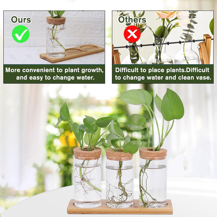 Fentar Ableger Pflanzen Glas, Propagation Station mit Holzsockel und Stecker, 3Stk Kleine Vasen für