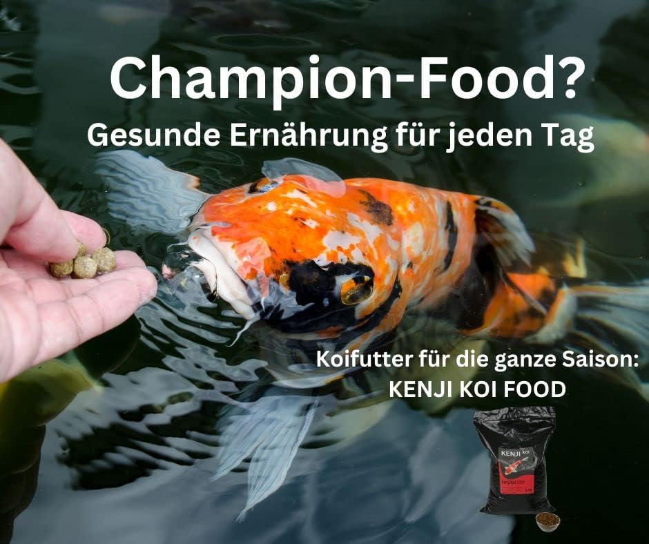KENJI KOI Growth+ Koifutter 5kg 6mm Wachstumsfutter für den Koi | Schwimmendes Koifutter mit hochwer