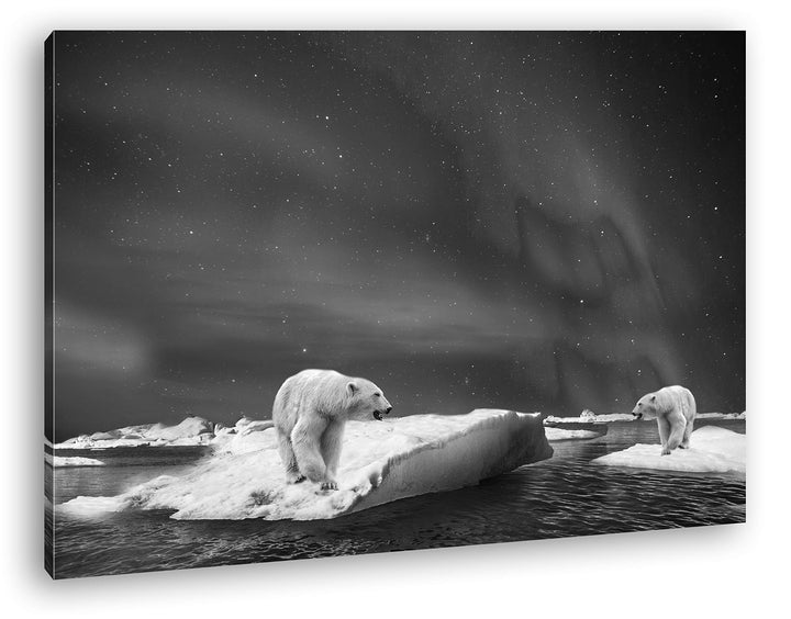 deyoli Eisbären im Polarlicht Format: 120x80 Effekt: Schwarz&Weiss als Leinwand, Motiv fertig gerahm