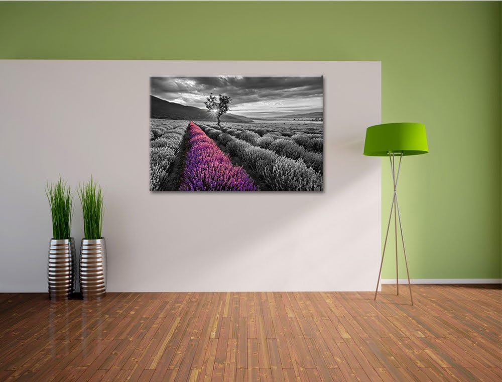Lavendelfeld mit einsamen Baum schwarz/weiss Format: 100x70 auf Leinwand, XXL riesige Bilder fertig