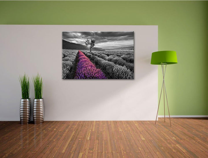 Lavendelfeld mit einsamen Baum schwarz/weiss Format: 100x70 auf Leinwand, XXL riesige Bilder fertig
