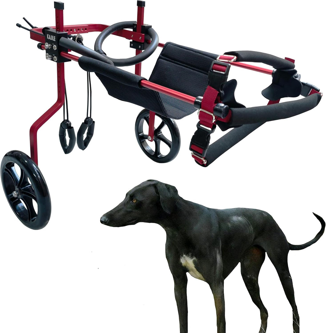 KAJILE Verstellbarer 2-Rad-Hunderollstuhl, XL-1 Grösse für behinderte Hund Hinterbeine Rehabilitatio