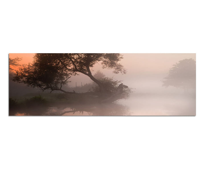 Paul Sinus Art Panoramabild auf Leinwand und Keilrahmen 150x50cm Fluss Baum Nebel Morgendämmerung