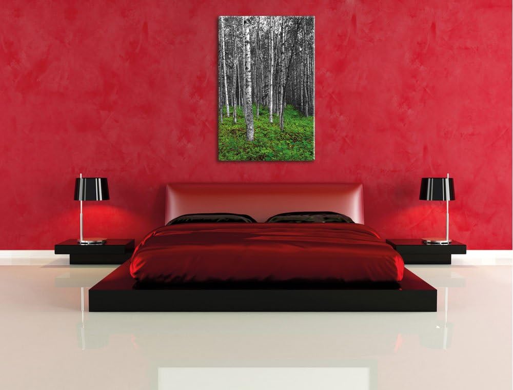 Pixxprint Kleiner ansehnlicher Birkenwald als Leinwandbild/Grösse: 120x80 / Wandbild/Kunstdruck/fert