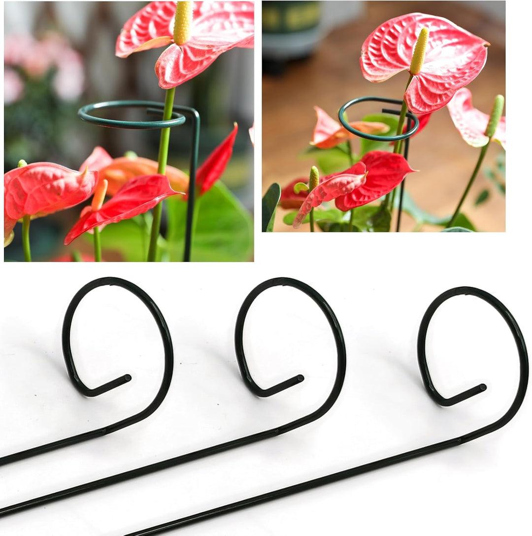 20 Stück Pflanze Unterstützung Pfähle, 40 cm / 15,9 Zoll Single Stiel Pflanze Unterstützung, für Ind