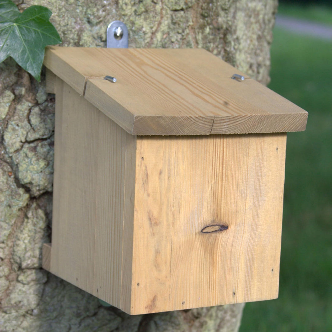 CJ Wildlife Nistkasten Gartenschläfer – Holz FSC® 100% Braun – Seitlicher Eingang 30 mm – Baumhöhlen
