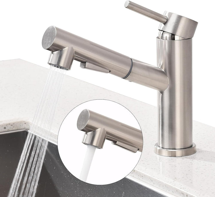 HOMELODY Wasserhahn Küche/Bad Gebürsteter Oberfläche Ausziehbar, Küchenarmatur mit Brause Zwei Wasse
