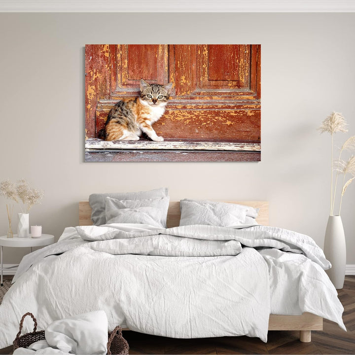 Printed Paintings Leinwand (80x60cm): Katzenbaby getigert draussen Katzenbilder Katzen 80x60 cm, 80x