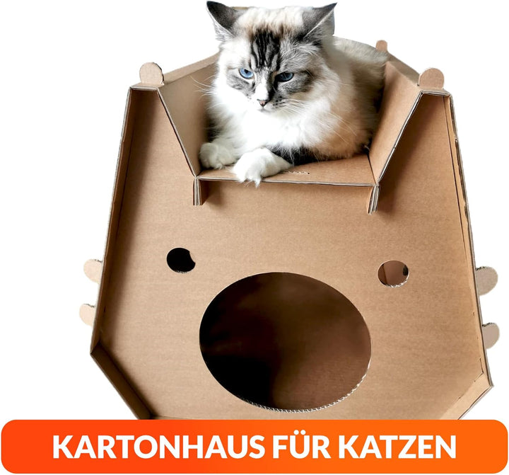 Katzenhaus aus Pappe – Robustes Tekturhaus für Katzen zum Spielen und Ausruhen, Umweltfreundliches H