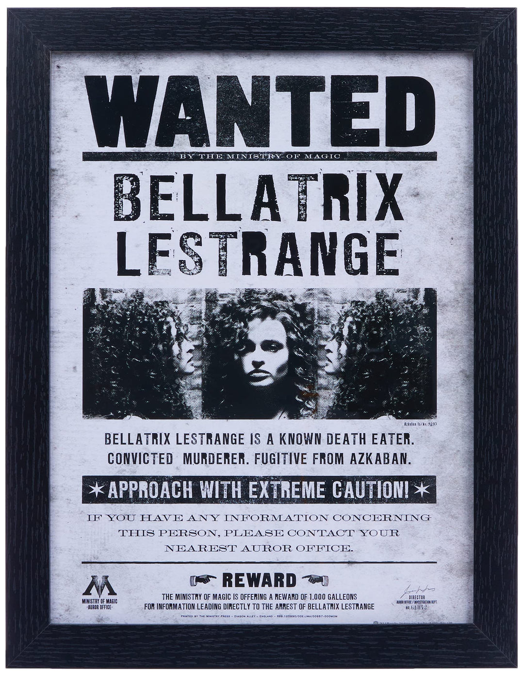 Pyramid International Harry Potter (Bellatrix Wanted) 30x40 cm gerahmter Druck, 250GSM PAPERWRAP MDF