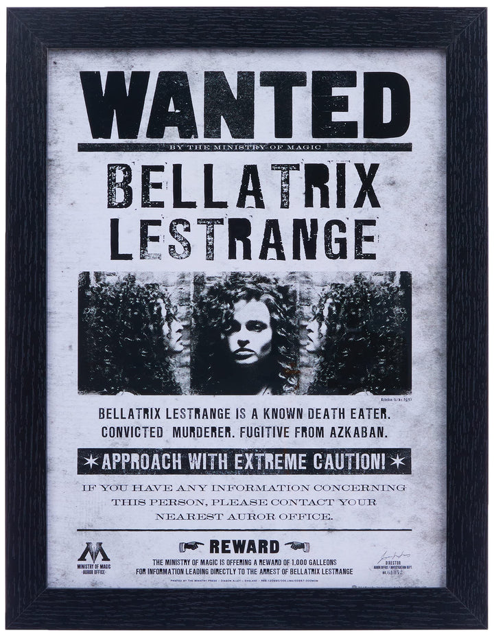 Pyramid International Harry Potter (Bellatrix Wanted) 30x40 cm gerahmter Druck, 250GSM PAPERWRAP MDF