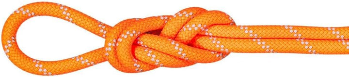 Mammut Seil 9.5 Alpine Dry Kletterseil Dry - Safety Orange/Zen Lg 40, Dry - Safety Orange/Zen Lg 40