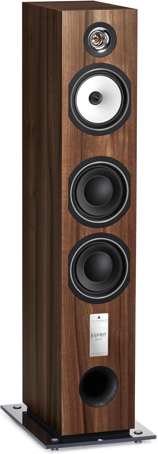 TRIANGLE - Hi-Fi-Standlautsprecher Antal EZ - Belastbarkeit 120 W - Wirkungsgrad 92 dB/W/m - Vielsei