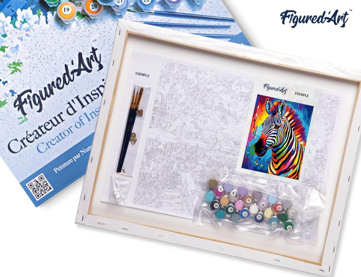 Figured'Art Malen Nach Zahlen Erwachsene Mit Rahmen Zebra Farbenfroh Abstrakt - Paint by Numbers Bas