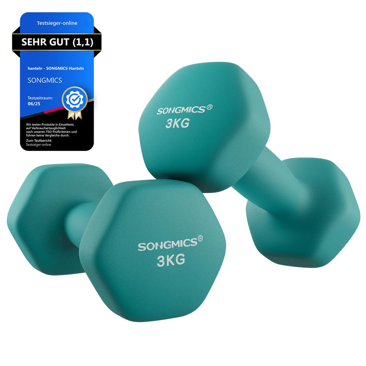 SONGMICS Hanteln, 2er Set,Hantelset, Kurzhanteln, Hexagon, Neopren-Beschichtung, Krafttraining, Work