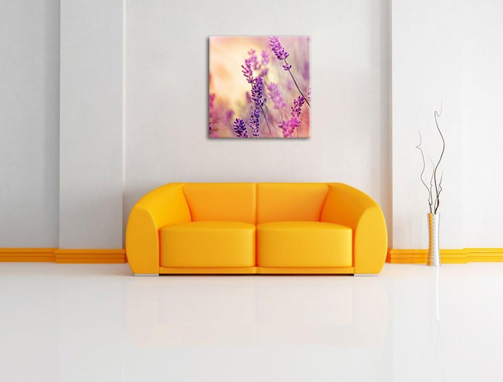 Eleganter Lavendel, Format: 70x70 auf Leinwand, XXL riesige Bilder fertig gerahmt mit Keilrahmen, Ku