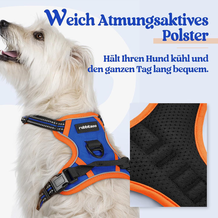 rabbitgoo Hundegeschirr Kleine Hunde Anti Zug Geschirr Hund mit Kontrolle No Pull Verstellbar Hundeg
