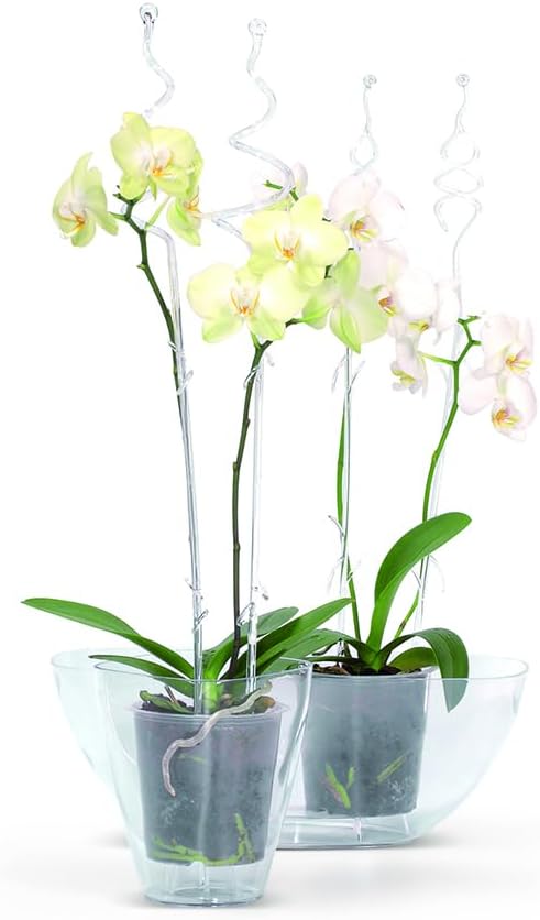 Tymar Orchideenstab, Orchideenunterstützung Kunststoff (58,5 cm, Transparent) 58,5 cm Transparent, 5