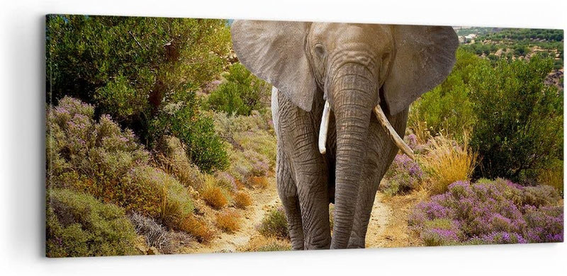 Wandbilder Dekoration Wohnzimmer Tiere Afrika Elefanten Spaziergang Bilder auf Leinwand 120x50cm Lei